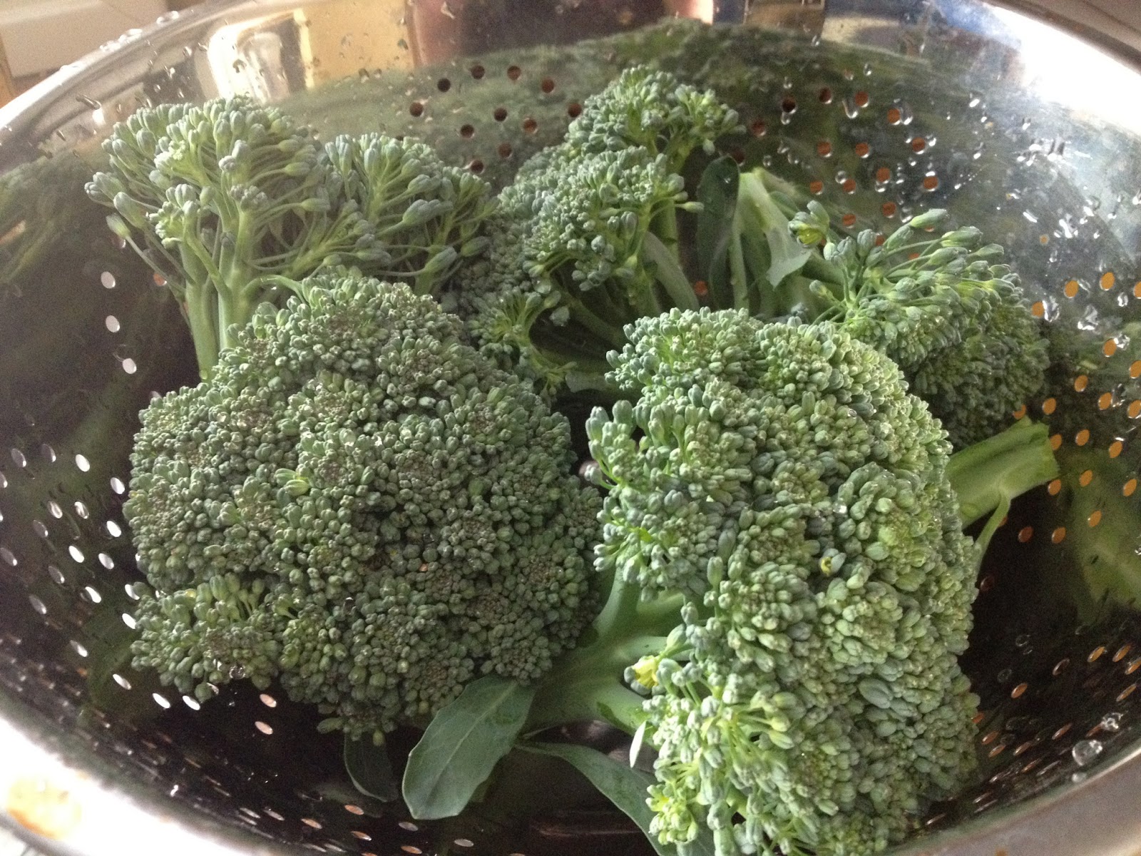 Headspace Broccoli Harvest and Freezing Spinach